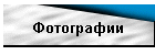 Фотографии